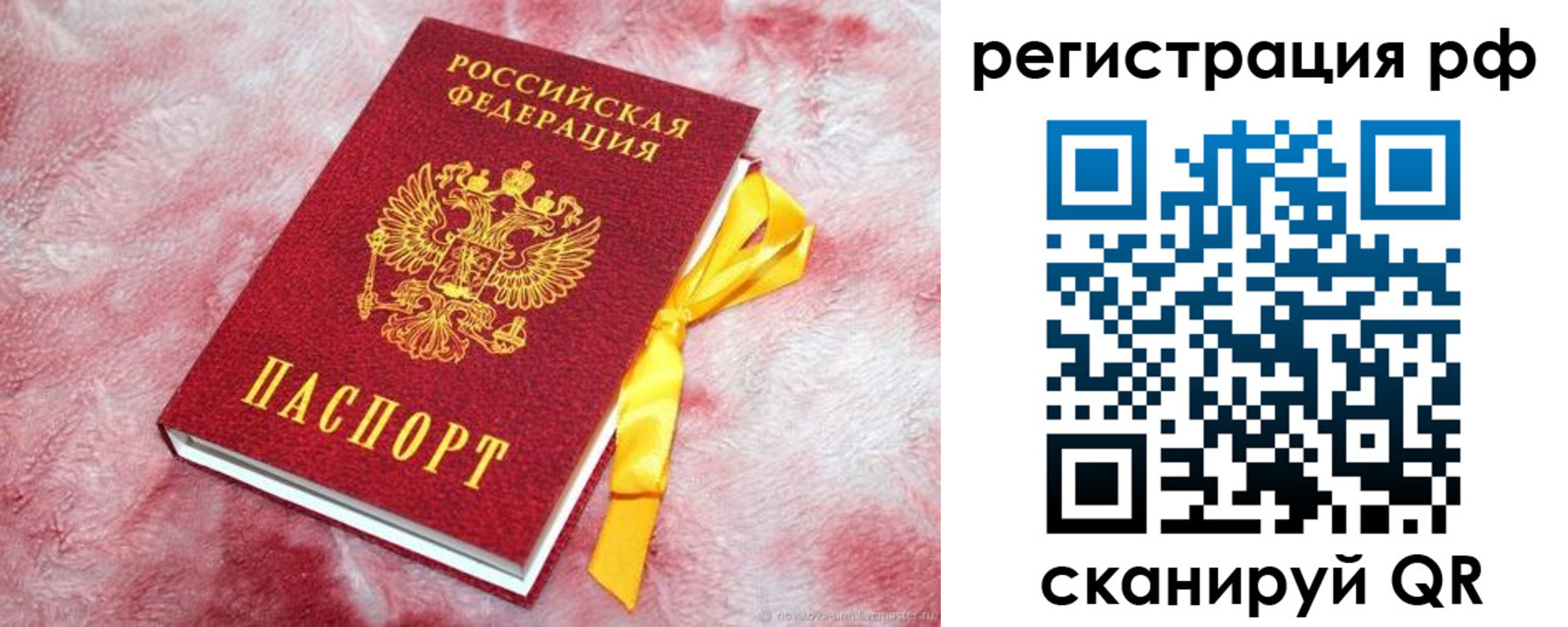 прописка в Сланцах